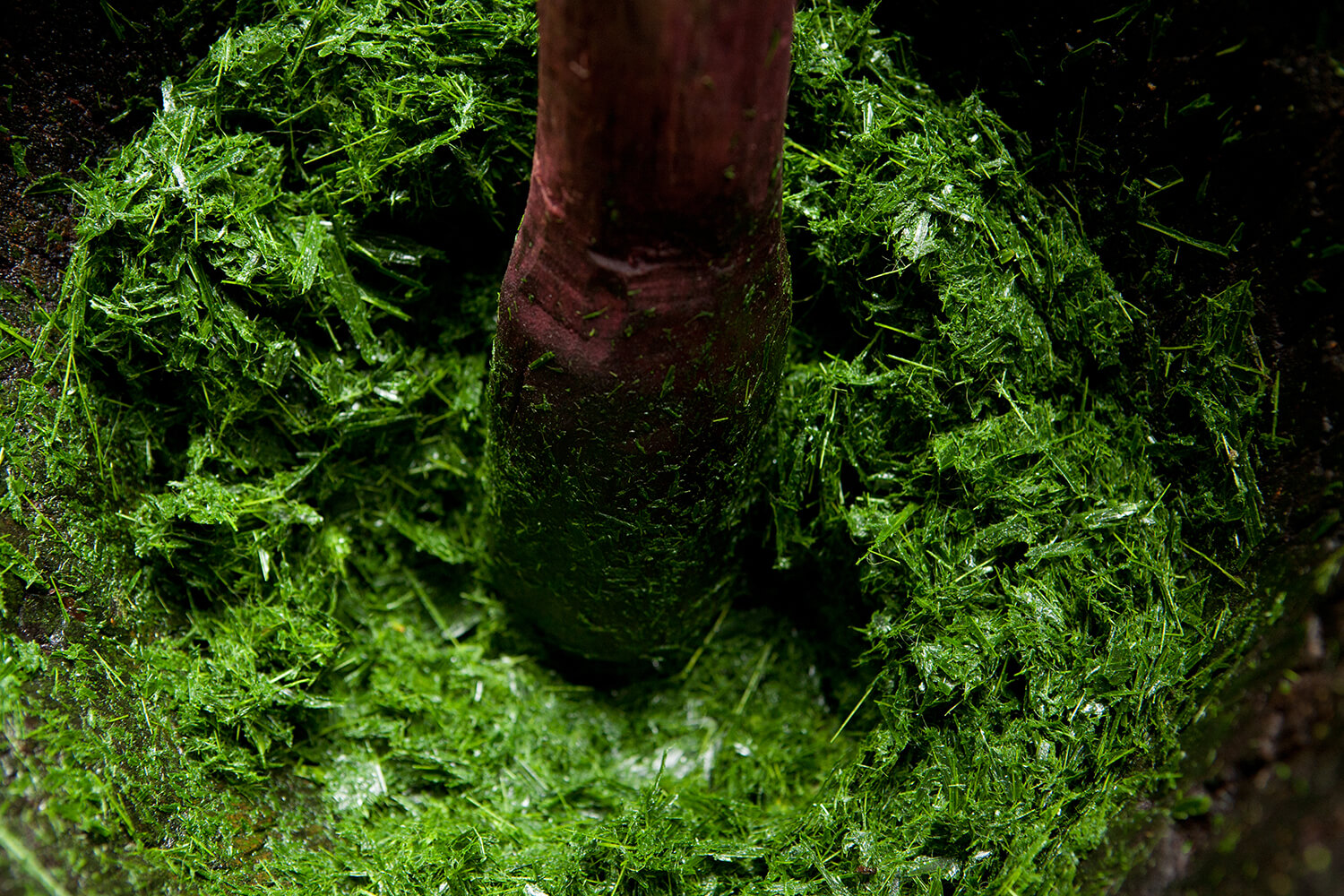 CHONTADURO 09_galeria  _MG_5816.jpg